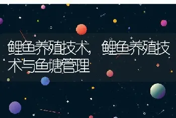 鲤鱼养殖技术,鲤鱼养殖技术与鱼塘管理