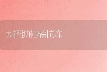 九招助柑橘抗冻