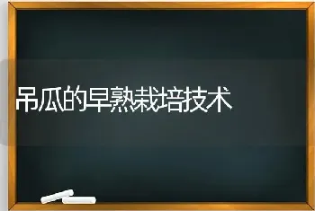 吊瓜的早熟栽培技术