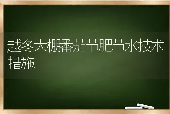 越冬大棚番茄节肥节水技术措施