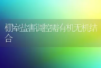 棚室盐害调控需有机无机结合