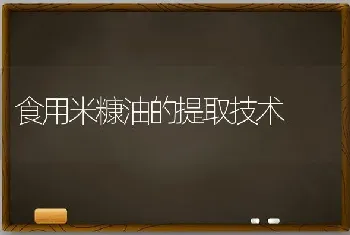 食用米糠油的提取技术