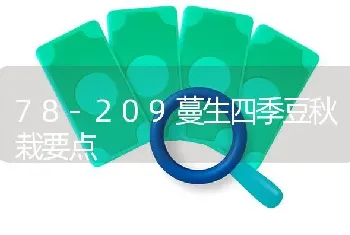 78-209蔓生四季豆秋栽要点