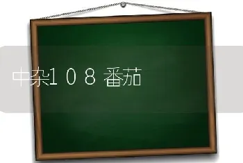 中杂108番茄