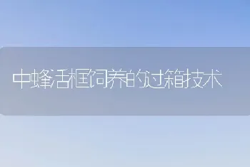 中蜂活框饲养的过箱技术