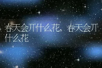 为什么不能打金毛