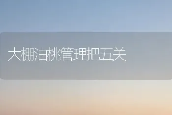 大棚油桃管理把五关