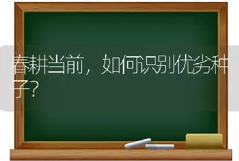 春耕当前,如何识别优劣种子?