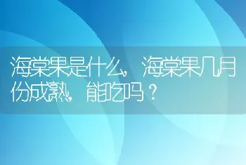 海棠果是什么