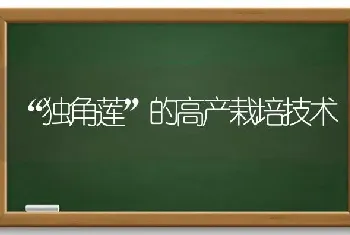 “独角莲”的高产栽培技术