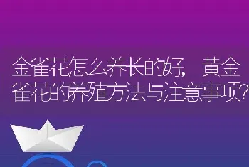 金雀花怎么养长的好