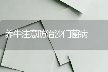 养牛注意防治沙门菌病