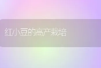 红小豆的高产栽培