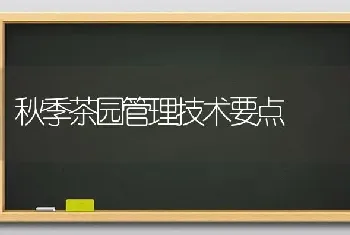 秋季茶园管理技术要点