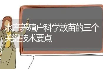 水产养殖户科学放苗的三个关键技术要点