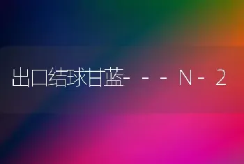 出口结球甘蓝---N-2