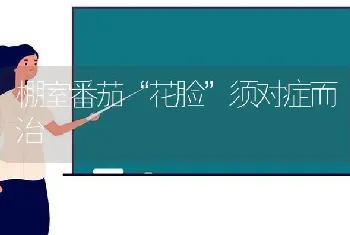 棚室番茄“花脸”须对症而治