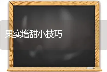 初秋大棚管理 注意预防害虫