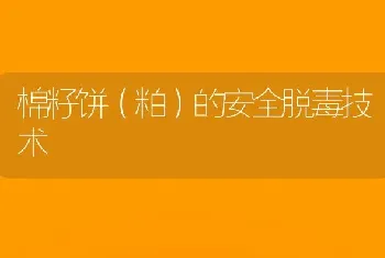 棉籽饼(粕)的安全脱毒技术