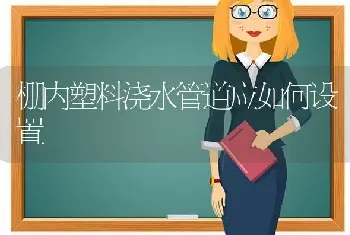 棚内塑料浇水管道应如何设置