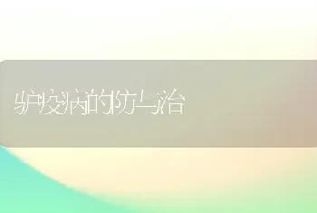 驴疫病的防与治