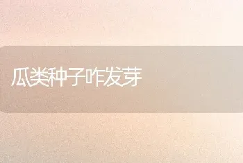 瓜类种子咋发芽