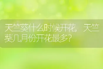 天竺葵什么时候开花