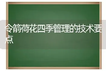 令箭荷花四季管理的技术要点