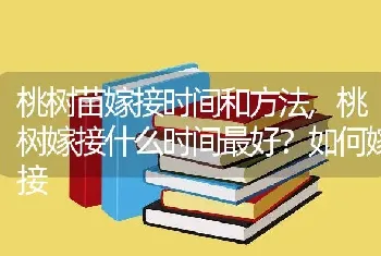 桃树苗嫁接时间和方法