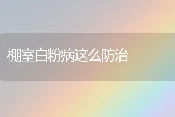 棚室白粉病这么防治