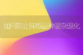 如何防止辣椒品种混杂退化