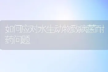 如何应对水生动物致病菌耐药问题