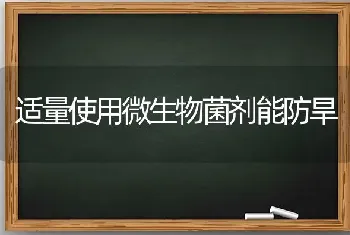 适量使用微生物菌剂能防旱