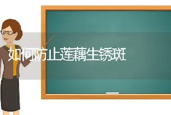 如何防止莲藕生锈斑