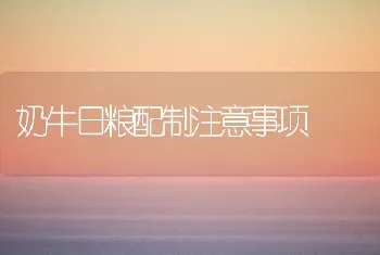 奶牛日粮配制注意事项