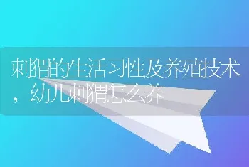 刺猬的生活习性及养殖技术