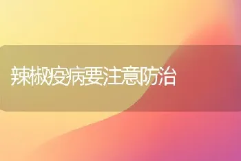 辣椒疫病要注意防治