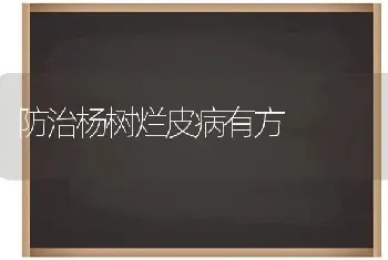 防治杨树烂皮病有方