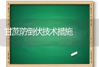 甘蔗防倒伏技术措施