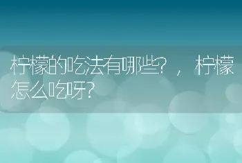 柠檬的吃法有哪些?