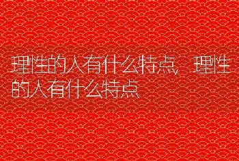 理性的人有什么特点