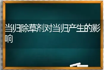 当归除草剂对当归产生的影响