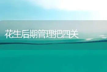 花生后期管理把四关