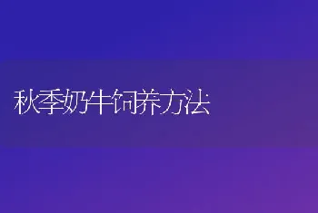 秋季奶牛饲养方法