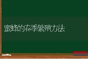 蜜蜂的春季繁殖方法