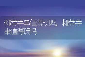 椰蒂手串值得玩吗