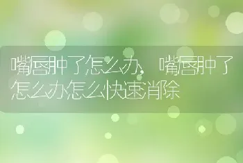 嘴唇肿了怎么办,嘴唇肿了怎么办怎么快速消除