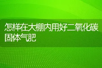 怎样在大棚内用好二氧化碳固体气肥