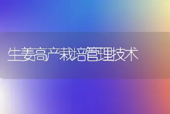 生姜高产栽培管理技术