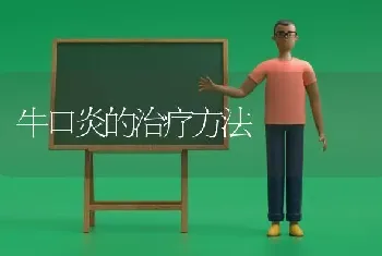 牛口炎的治疗方法